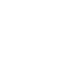 事業内容